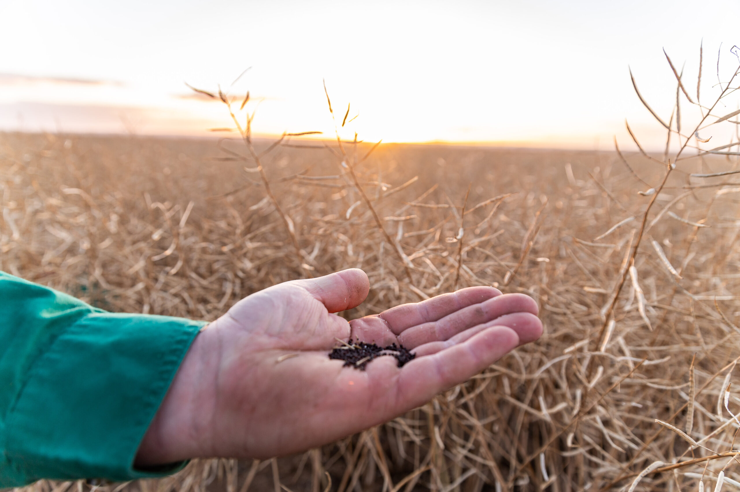 10 Years of Bunge in WA