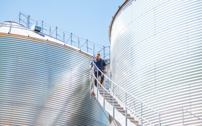 Grain Market Opportunities further out