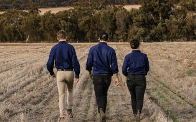 TerraWise – Our Point of Difference