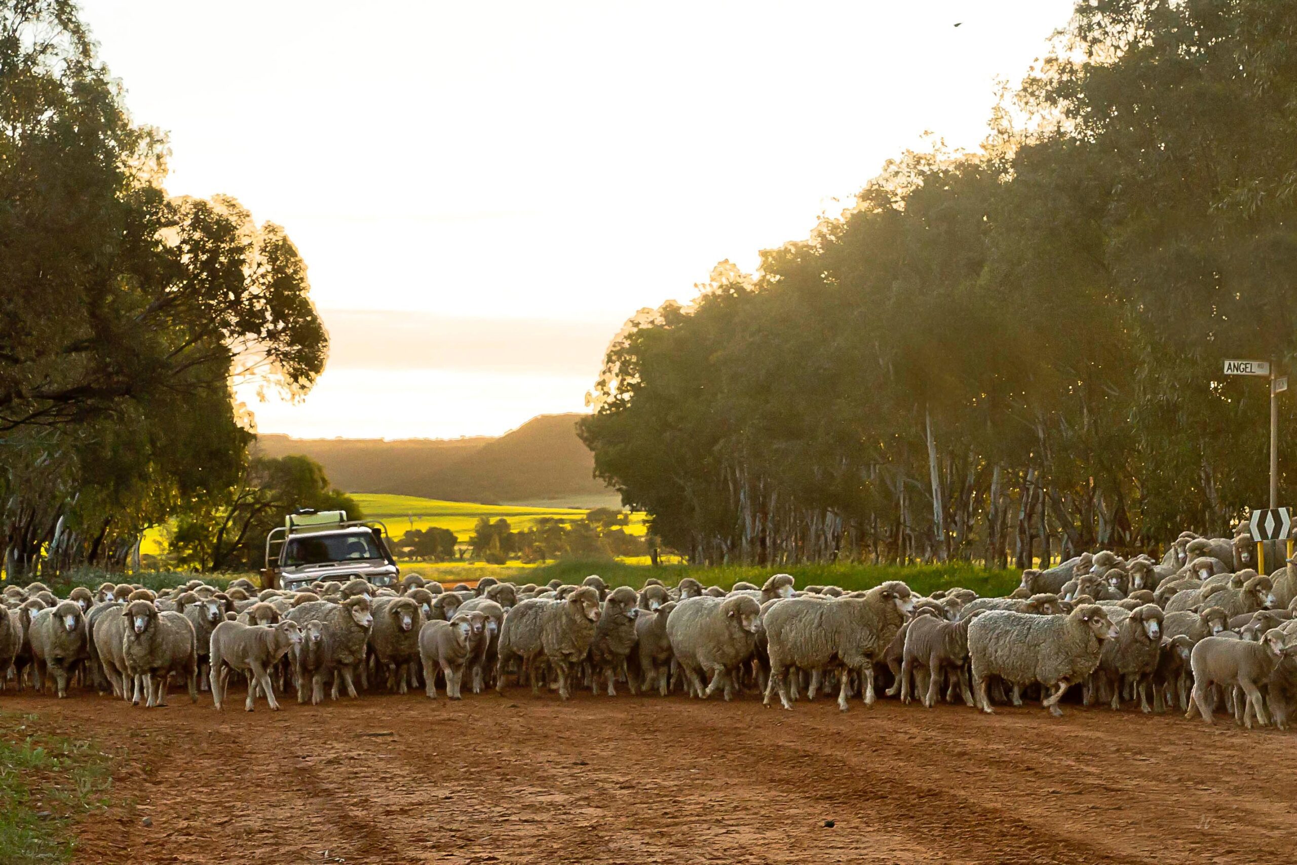 1400x600_Page banner wide_Planfarm Story_1