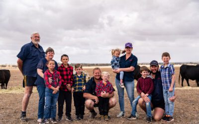 10 Things You Can Do For Succession Before You Do Succession