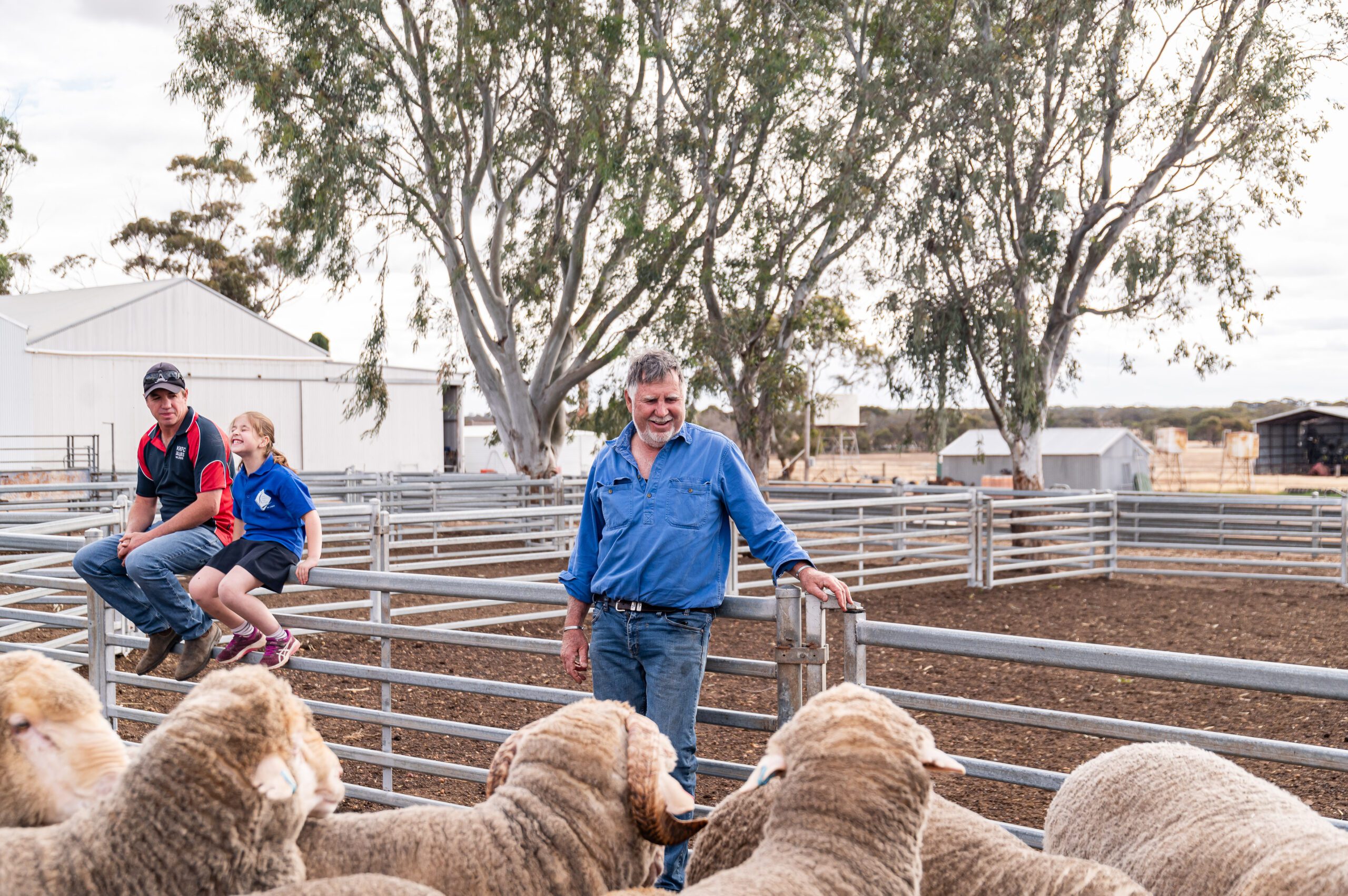 1400x600_Page banner wide_Planfarm Story_1