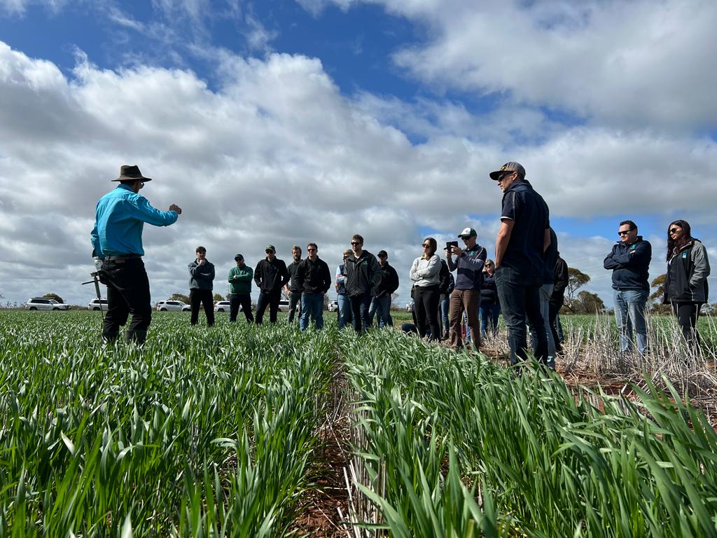 1400x600_Page banner wide_Planfarm Story_1