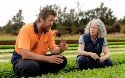 You don’t know what you don’t know until you do