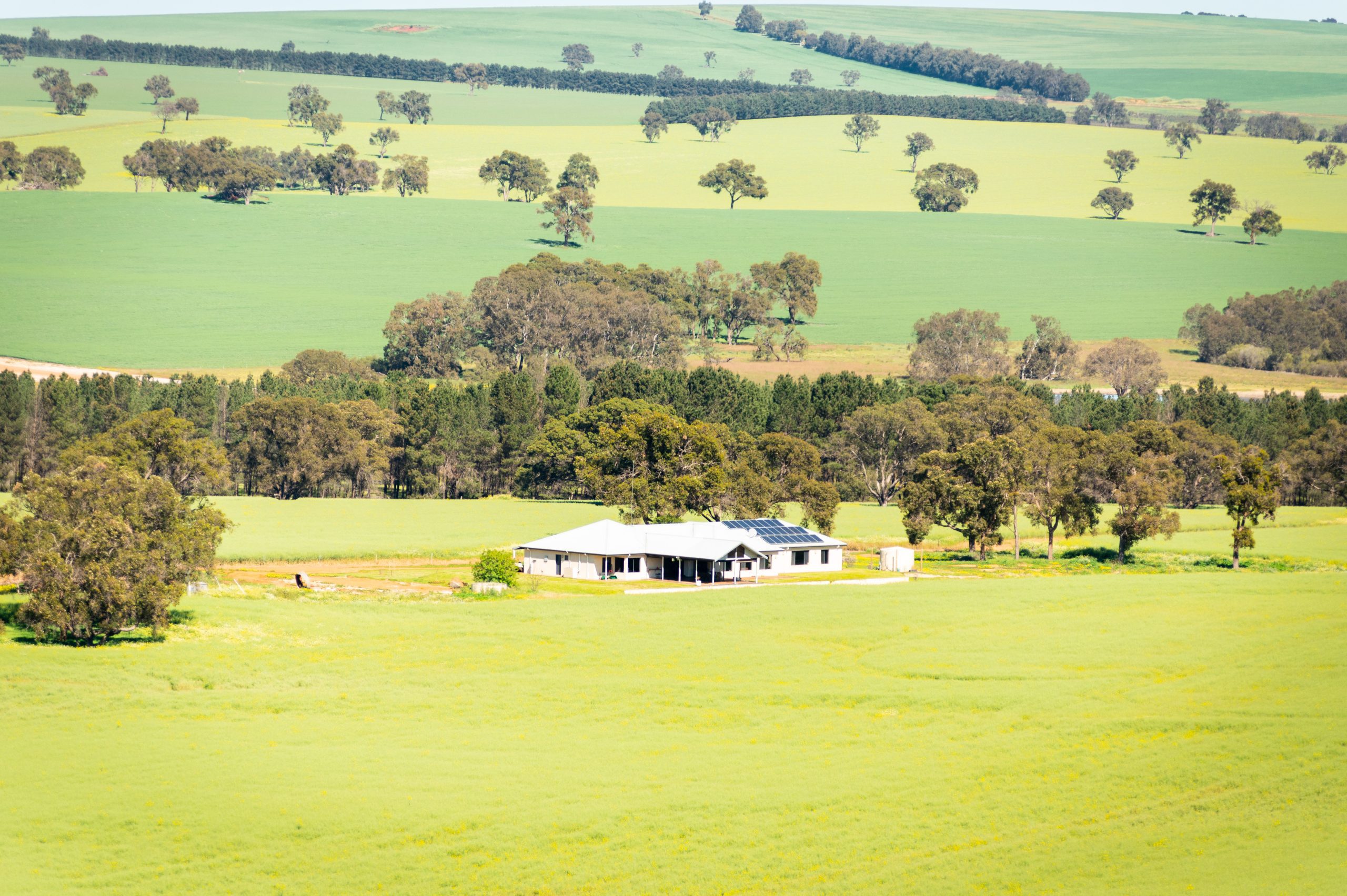 1400x600_Page banner wide_Planfarm Story_1