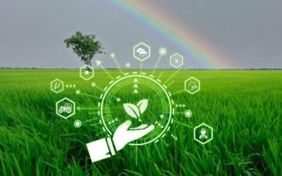 Clear Data, Confident Decisions: The Key to Carbon Accounting