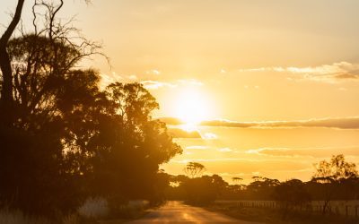 The Power of the Pause: Why Resetting and Consolidation Are Essential After Change