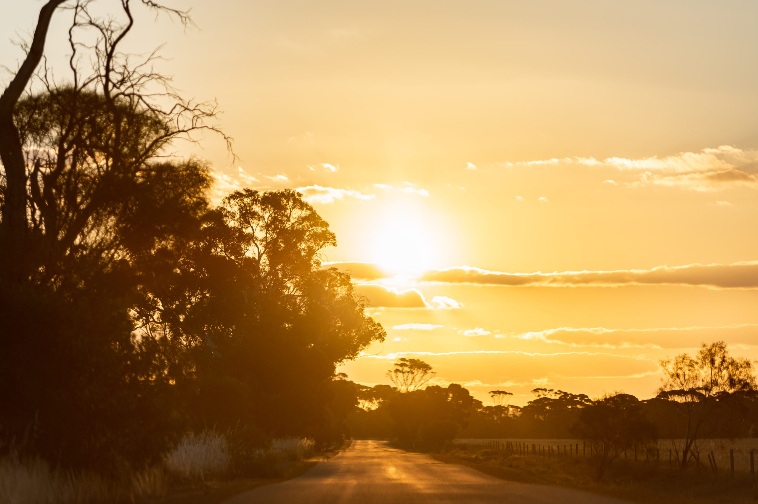 1400x600_Page banner wide_Planfarm Story_1