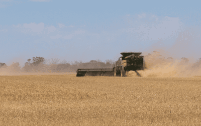 Why Grain Prices Move Before the Header Does