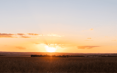 Beyond Toughing It Out: A Better Way Forward