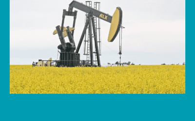 The Moving of the deckchairs – Canadian Canola