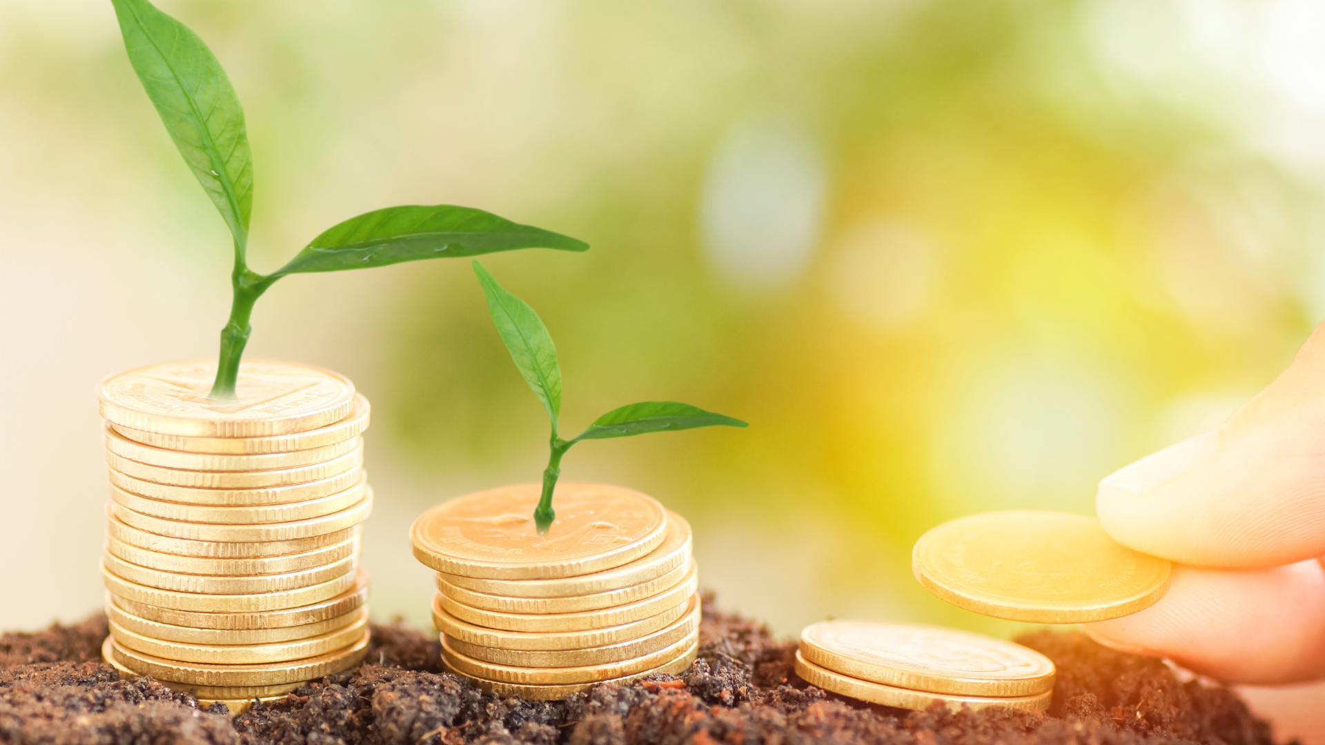 1400x600_Page banner wide_Planfarm Story_1