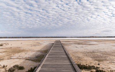 How many years of drought can Midwest farms endure?