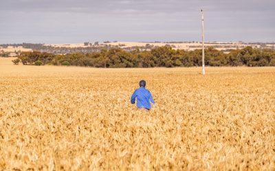 Beyond the Bin – Benchmarking Your Way to Smarter Grain Sales.