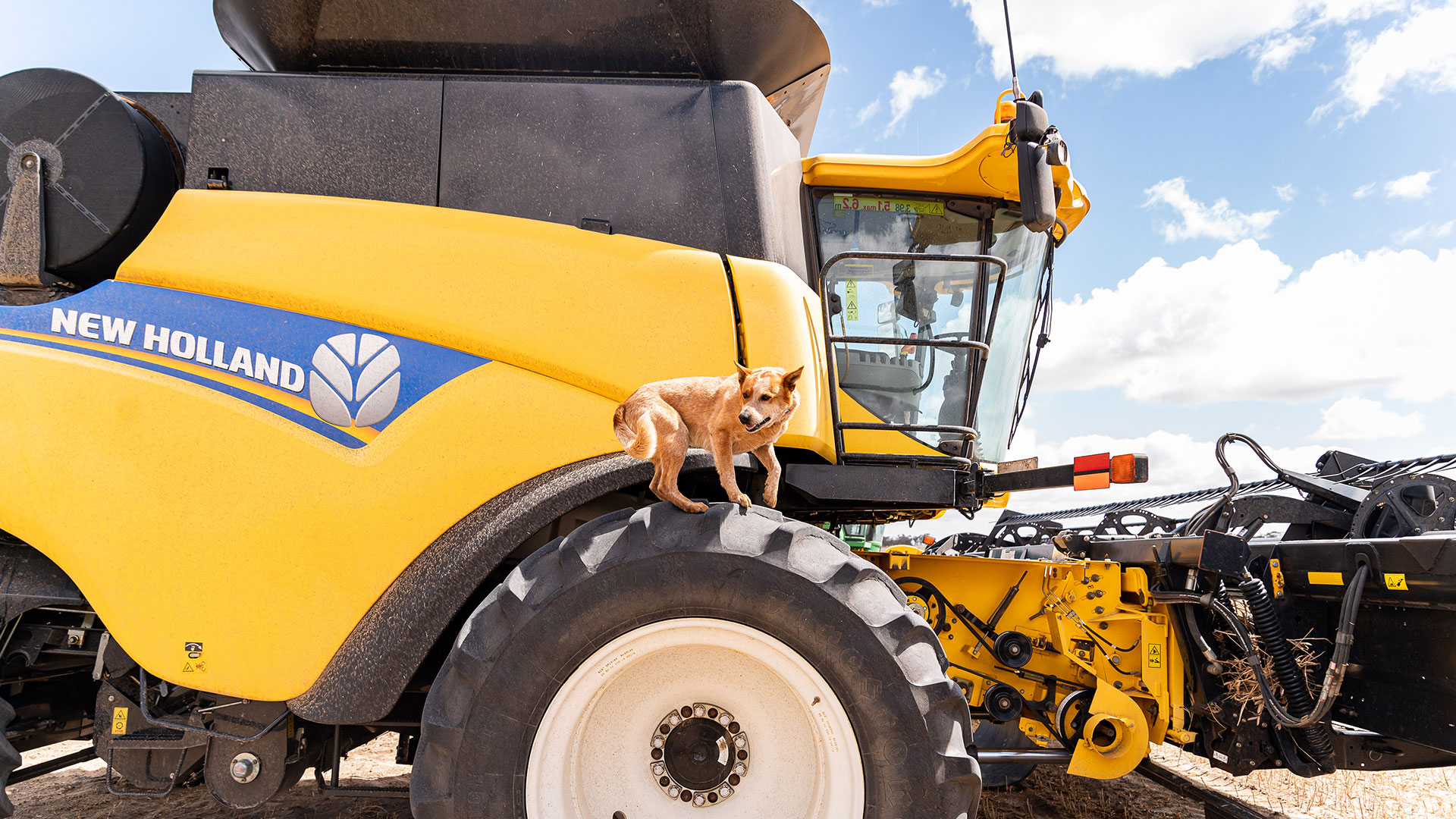 1400x600_Page banner wide_Planfarm Story_1