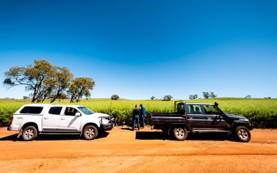 Into the matrix: How consultant account codes differ from accountant codes