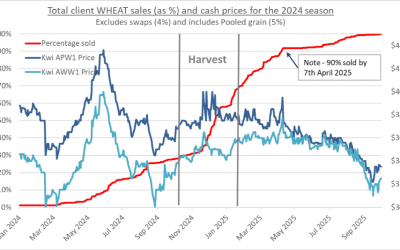Beyond the Bin – Benchmarking Your Way to Smarter Grain Sales