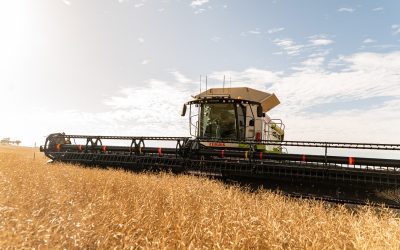 Do you know your number? Why emissions intensity is the new benchmark for Aussie farmers