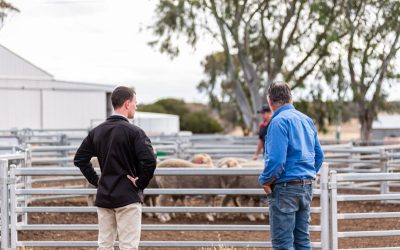 Have I missed the boat?