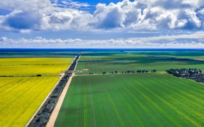 The Litmus Test for Business Success.