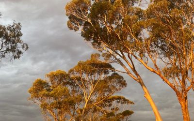 Carbon Questions from the Road: Let’s Clear the Air