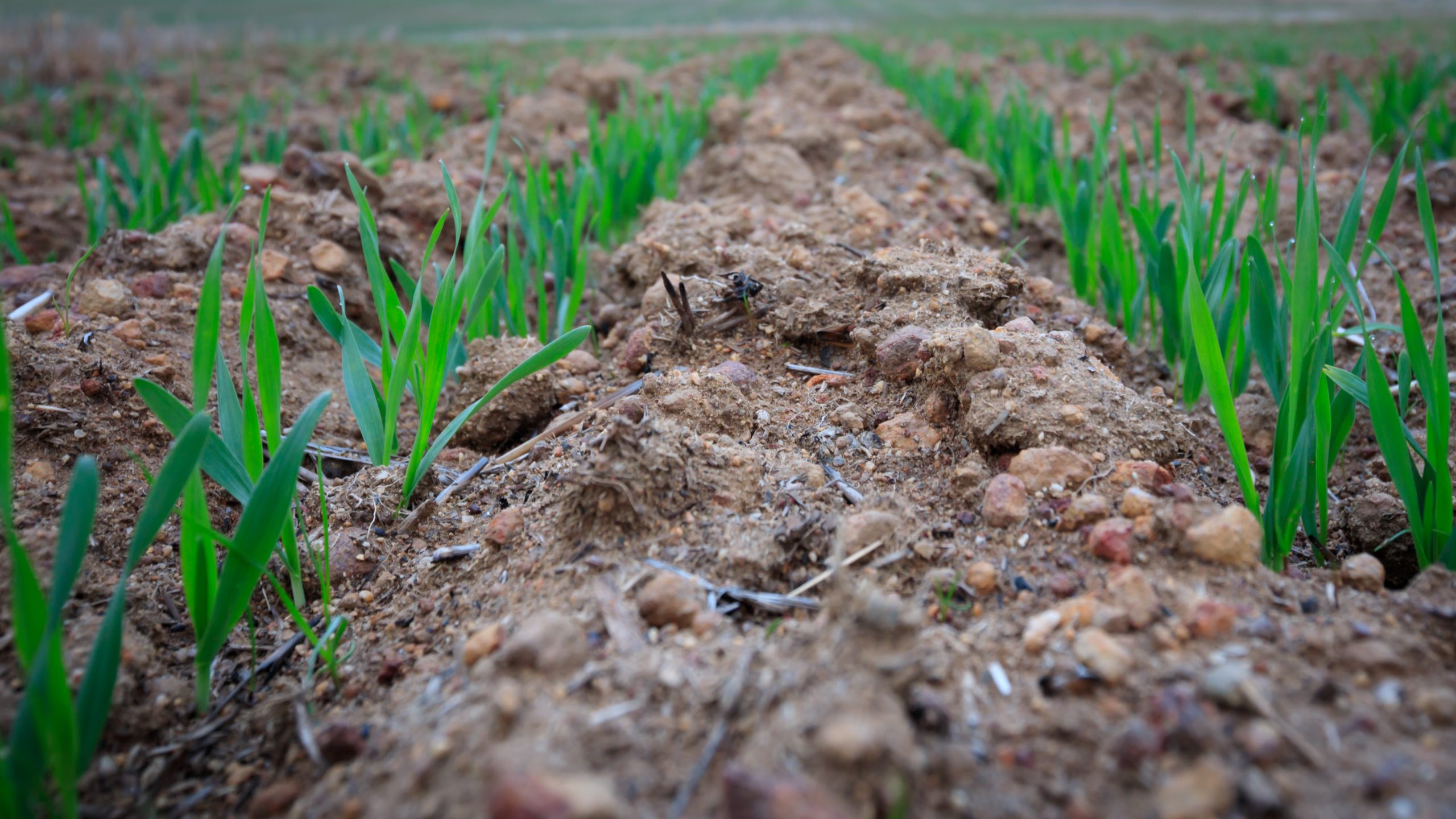 1400x600_Page banner wide_Planfarm Story_1