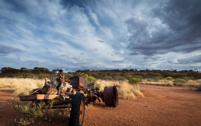 Navigating Global Uncertainty: What Middle East Tensions Could Mean for Grain Markets