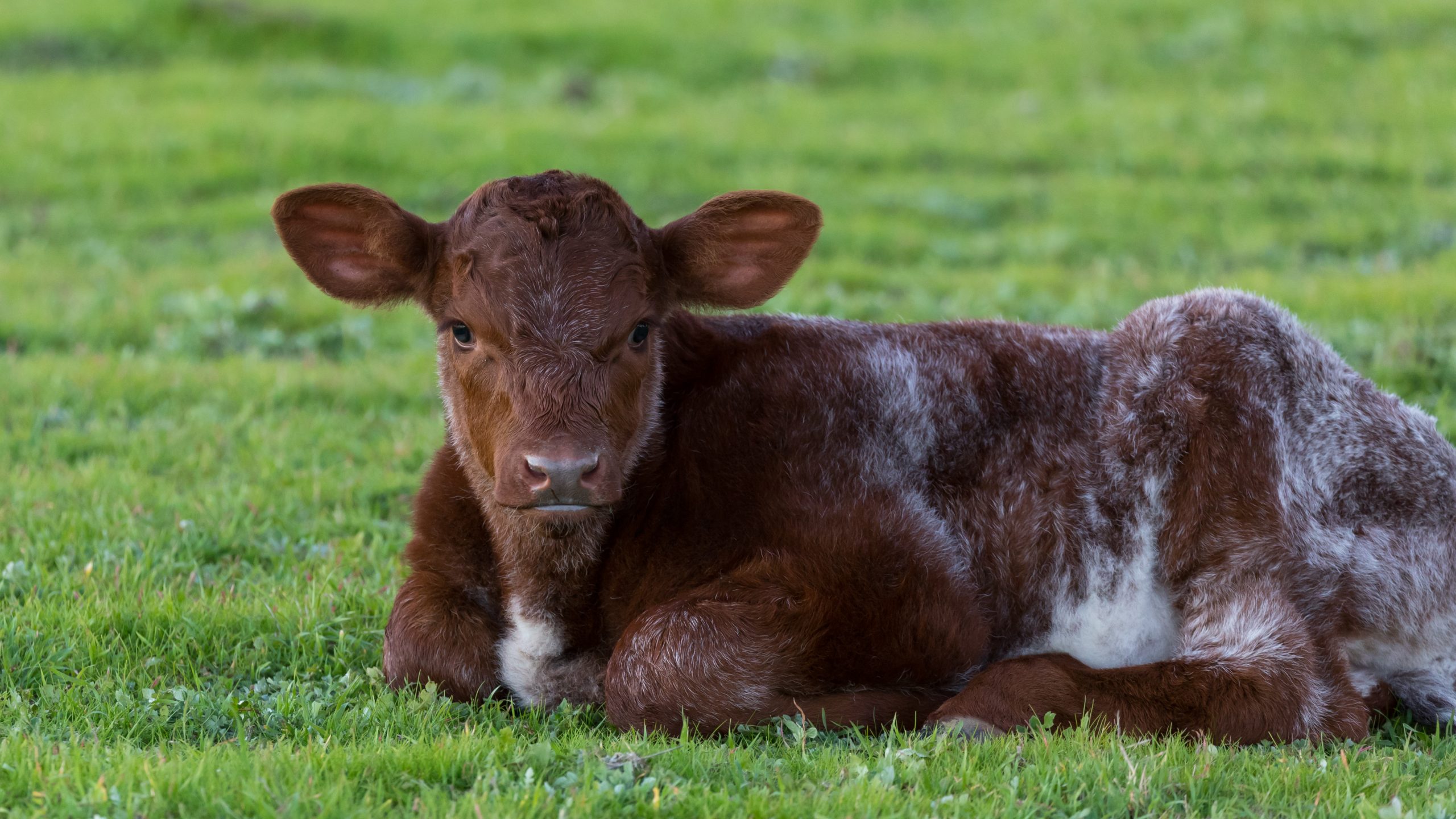 1400x600_Page banner wide_Planfarm Story_1