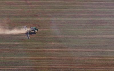 Spray summer weeds straight away – for Nitrogen