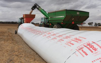 The Return of the Sharefarm: Why Risk-Sharing is Back in Fashion for WA Agriculture