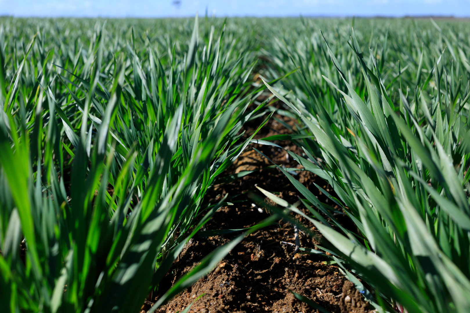 1400x600_Page banner wide_Planfarm Story_1