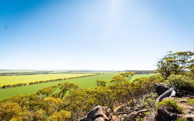 How We Turn Farm Data into Carbon Insights