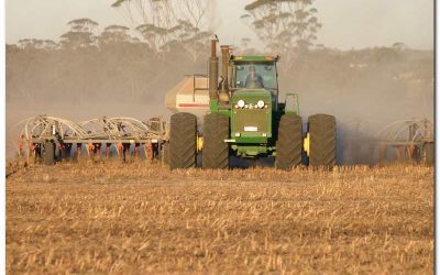 Where Cutting Costs Often Costs You