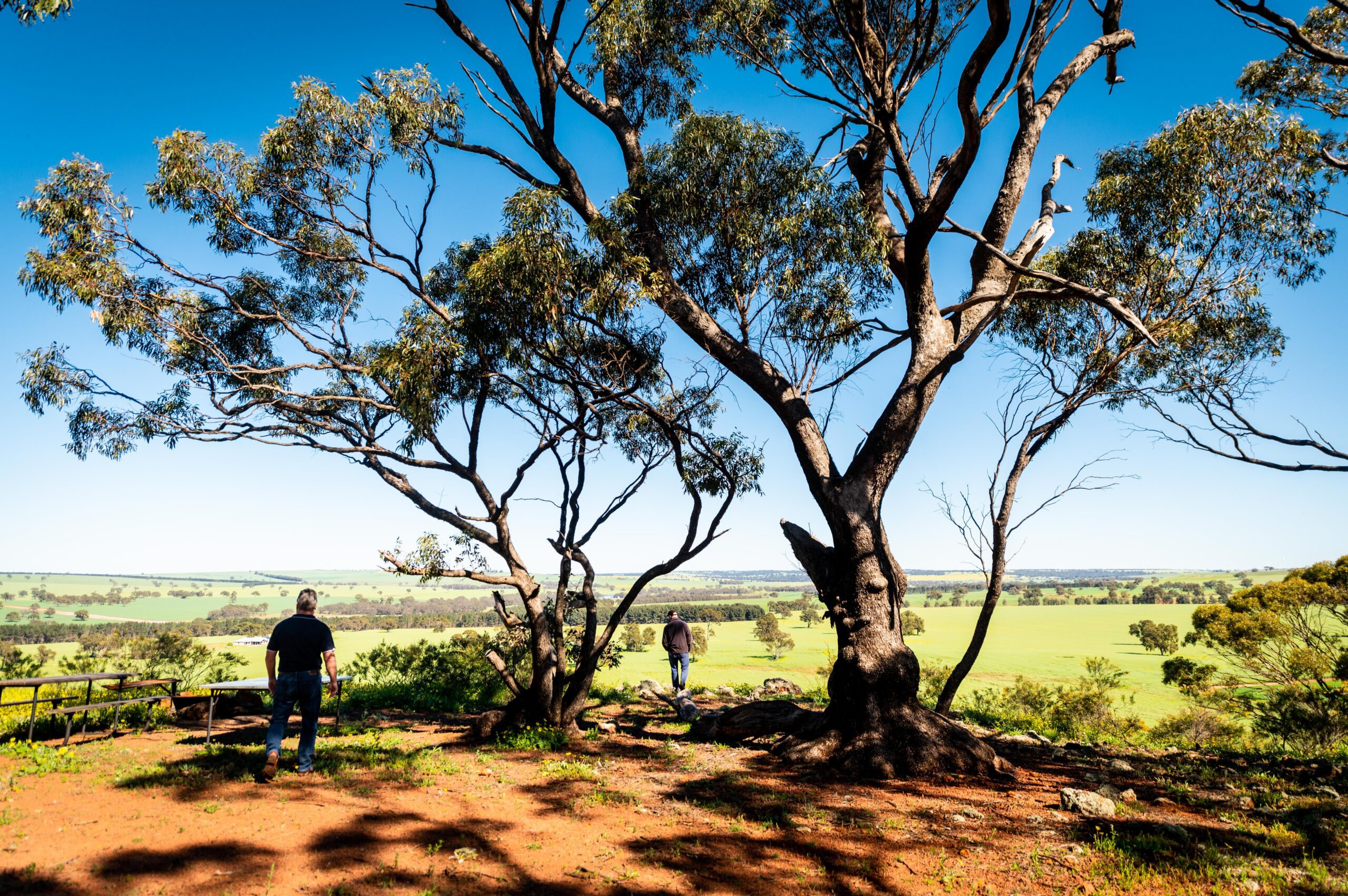 1400x600_Page banner wide_Planfarm Story_1