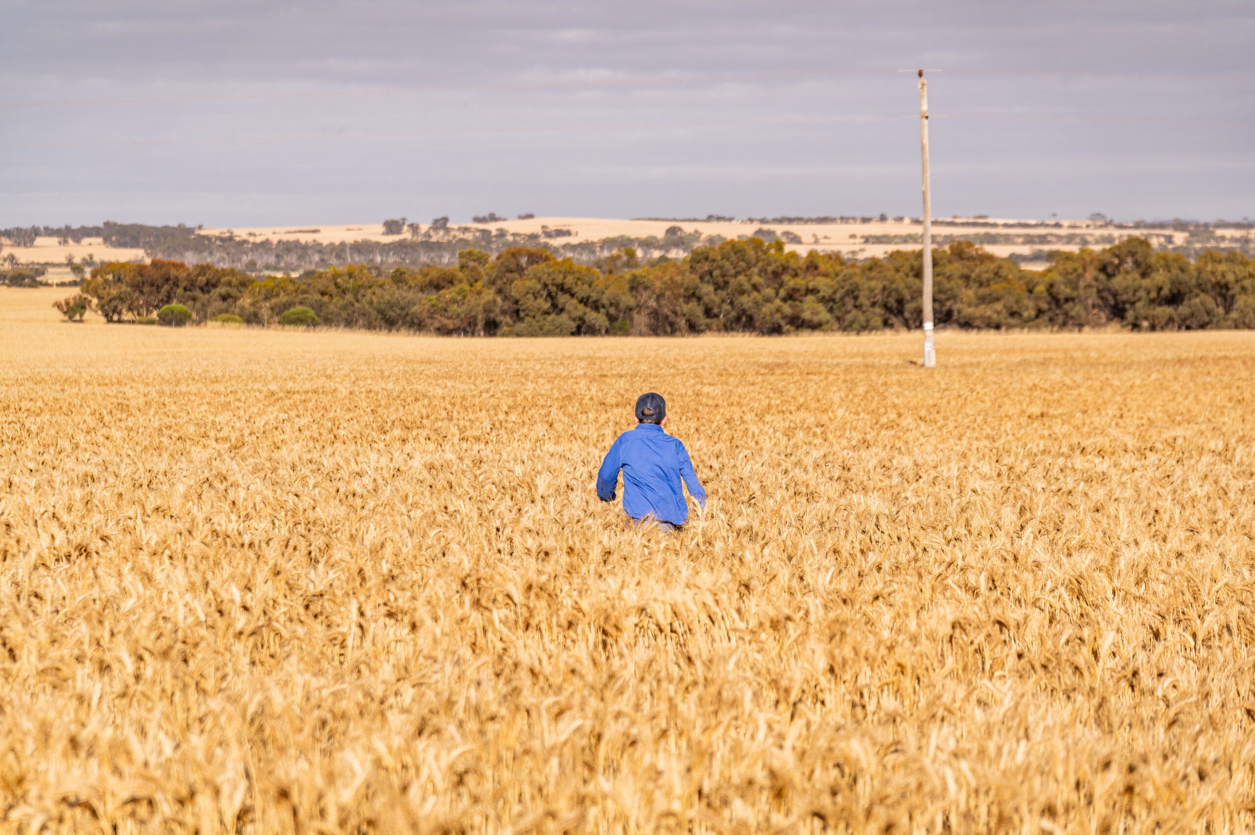1400x600_Page banner wide_Planfarm Story_1