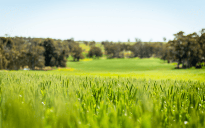Make Retirement Investment Decisions Fit for Purpose