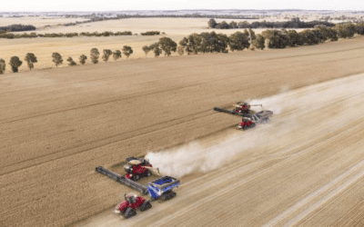Getting Organised for Harvest