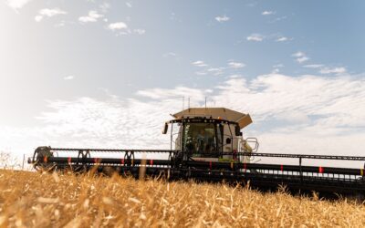 Getting Organised for Harvest